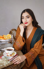 AISLING - 3PC DHANAK EMBROIDERED SHIRT WITH DHANAK EMBROIDERED DUAPATTA AND TROUSER- RB11241